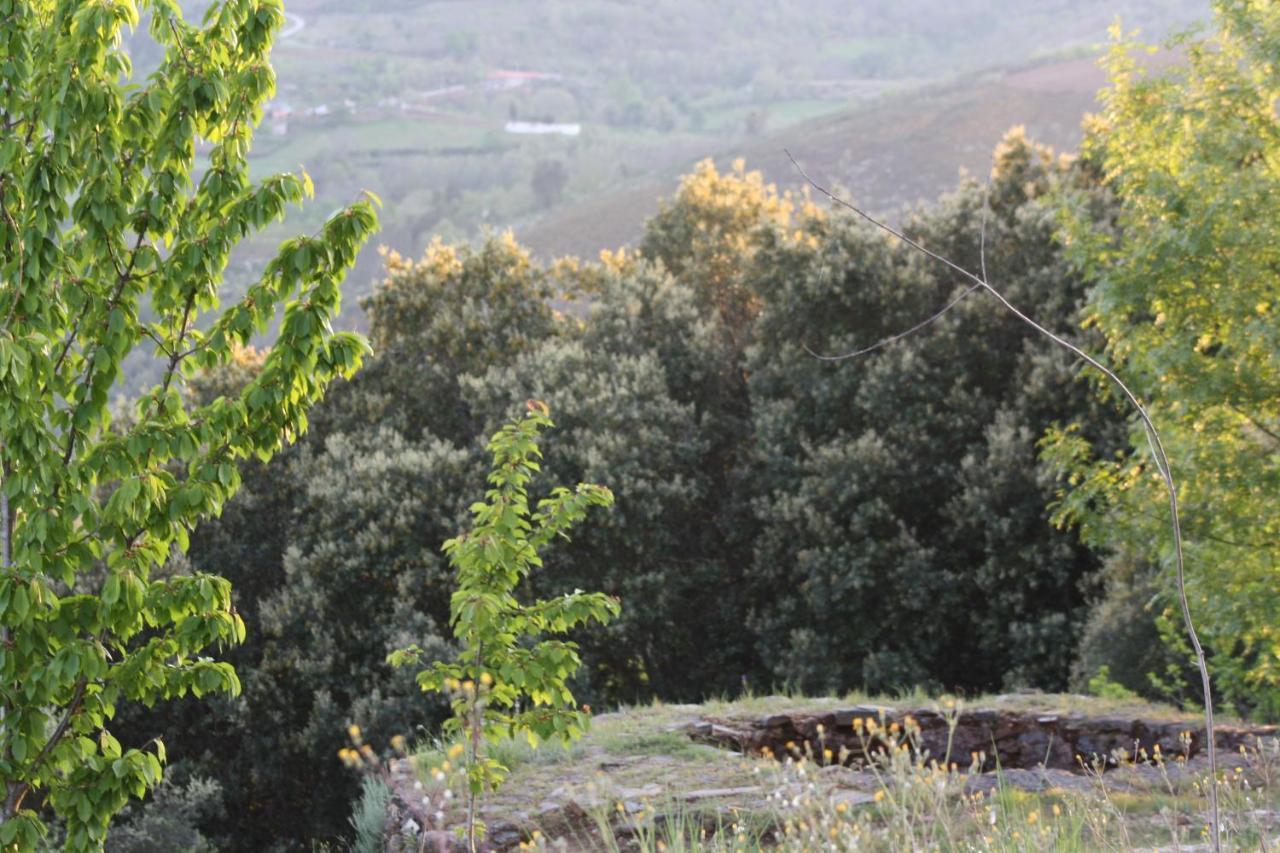 Bed and Breakfast O Bilho Vinhais Exterior foto