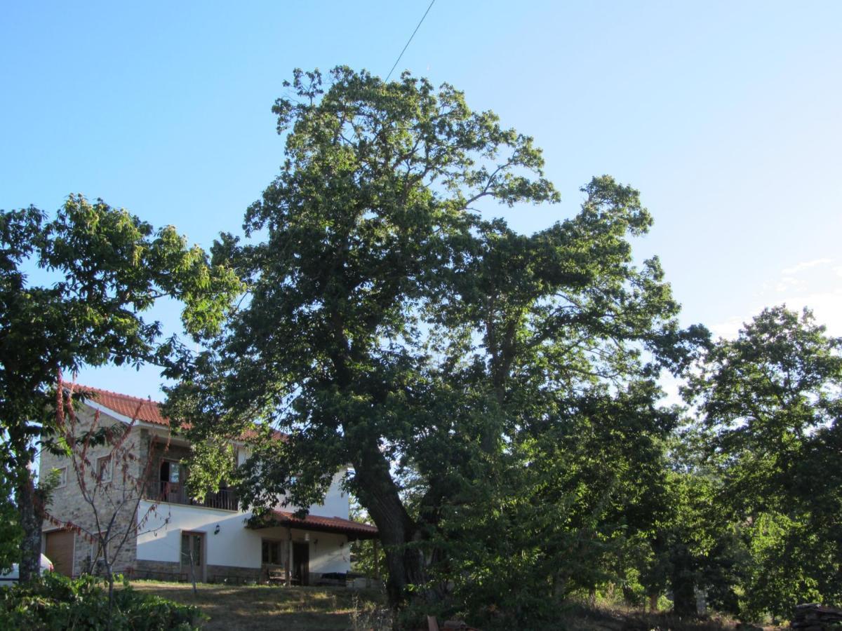 Bed and Breakfast O Bilho Vinhais Exterior foto